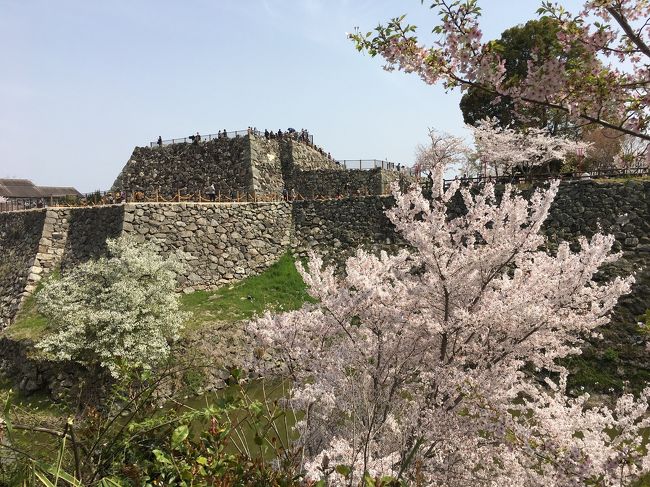 大和郡山城 桜まつりと時代行列 斑鳩 法隆寺周辺 奈良県 の旅行記 ブログ By Dasmeerさん フォートラベル 大和郡山城 桜まつりと時代行列 斑鳩 法隆寺周辺 奈良県 の旅行記 ブログ By Dasmeerさん フォートラベル