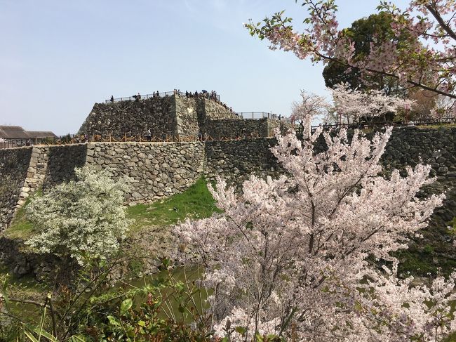 大和郡山城 桜まつりと時代行列 斑鳩 法隆寺周辺 奈良県 の旅行記 ブログ By Dasmeerさん フォートラベル