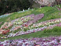 里山ガーデンにお花見＆ピクニック