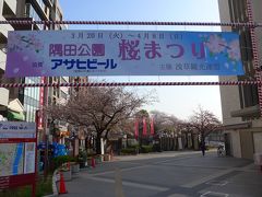 桜が散る前に弾丸日帰り花見ツアーin東京　Part1は早朝の墨田公園!!　O(*^-^*)O 
