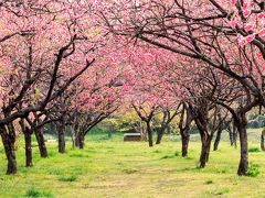 古河の旅行記