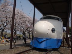 摂津市にある新幹線公園でお花見