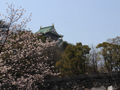 大阪城　癒しの桜とアフタヌーンティー