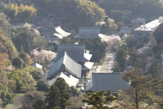 　建長寺の裏山である勝上山の頂上には石の祠があり、手水鉢や石燈籠などもある。これまでは木立や笹などの草木に阻まれてこうした石造物は見難かったのだが、近年は次第に見通しが良くなって来ていた。とうとう木立の木々が大方切り倒され、草も刈られて丸坊主になっている。この場所は建長寺の奥之院であろう。建長寺から上ってくると参道には奥之院への参道を示す道標が続き、半僧坊を過ぎても石段下に奥之院参道の道標がある。半増坊は横須賀線が開通（明治22年（1889年））した後（明治23年（1890年））に勧請されている。古刹である建長寺の歴史に比べたら、ほんの短い歴史しかないのだ。<br />　また、半増坊の裏手、奥之院の前には展望台があり、天気が良ければ富士山が望め、いつでも建長寺の伽藍を見下ろせる。<br />（表紙写真は展望台から望む建長寺）