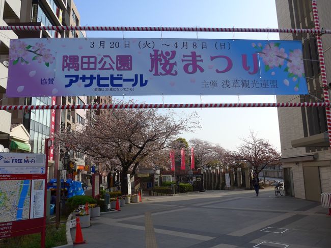 ２０１８年の東京・桜開花はとても早くて３月２４日と２５日の週末が見ごろでした<br />１週間遅れの本日は早朝より混み合う前に出来るだけ多くの名所を回る事を計画し自宅を６時半にスタートしました。<br />コースは<br />京急線の大鳥居駅をスタートして<br />浅草で隅田公園と浅草寺の花見<br />上野で上野恩賜公園と不忍池の花見　+予定外の旧岩崎邸庭園<br />御茶ノ水で神田川と湯島聖堂、ワテラス<br />最後に東京を代表する千鳥ヶ淵+開花宣言の靖国神社です<br />以上を６回ほどに分けて投稿が終了する頃にはすべての桜の木が葉桜になっていると思いますが<br />間に合うようでしたらお出かけして見て下さい。まだ間に合います。(4/1時点のコメントです)<br /><br />Part1は「隅田公園」の桜まつりです。