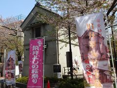 染井吉野桜祭り（巣鴨～駒込）