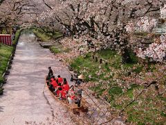 2018年4月 川越ぶらっと散策♪小江戸川越春まつり♪桜♪花筏♪