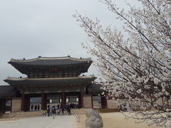 1泊2日初めての海外一人旅in韓国