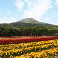 ２０１８　離島一人旅　八丈島