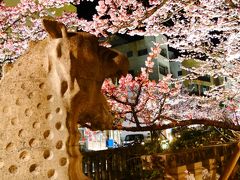 春の熱海。熱海桜とメジロと、グルメ！