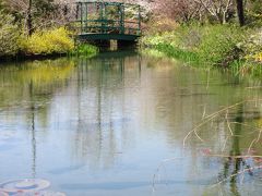 日本桜名所100選”高知県立鏡野公園”に花見～モネの庭散策２