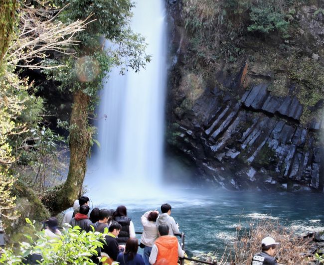 還暦登山隊の「ご近所探検シリーズ」の一環として、天城の鉢窪山に登って来た。名前も聞いたことが無かった山だが、元は火山で今でも火口の跡を確認出来るらしい・・・とのことだ。<br /><br />大昔、この山の噴火の結果、石川さゆりの「天城越え」に登場する「浄蓮の滝」が出現したという。