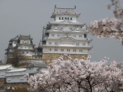 姫路城の桜めぐり