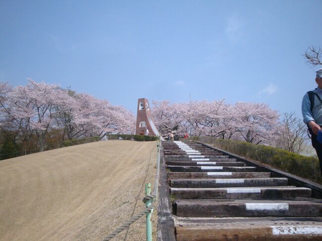 豊田東ジャンクションから東海環状高速道に入り、岐阜県の孫に会いに向かう途中、鞍ヶ池ＰＡに立ち寄りました。ここには、コンビニがあるので昼食を買って外で食べようと・・・しかし、上から見た景色にびっくりでした。ＰＡでこんなにすばらしいお花に出会えるなんて、すごく得した気分です。