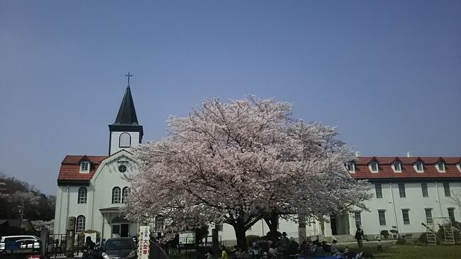 多治見に来ました、どこかに桜咲いてないかしら?と4トラで探したら多治見修道院があるではないですか。絵になる風景です、そして、5分もかからない場所に虎渓公園も。いずれも満開ですばらしい桜でした。