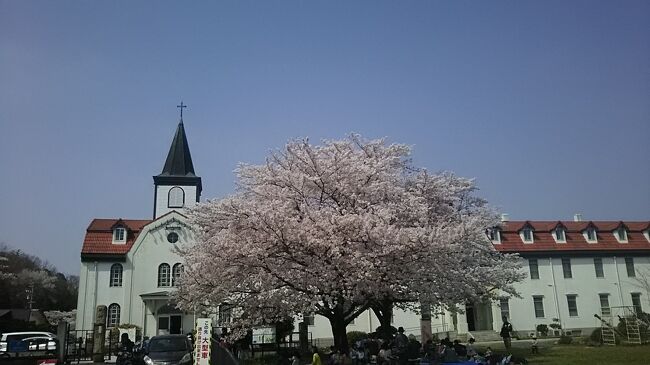 孫に会いに多治見に来ました、どこかに桜咲いてないかしら？と４トラで探したら多治見修道院があるではないですか。絵になる風景です、そして、５分もかからない場所に虎渓公園も。いずれも満開ですばらしい桜でした。