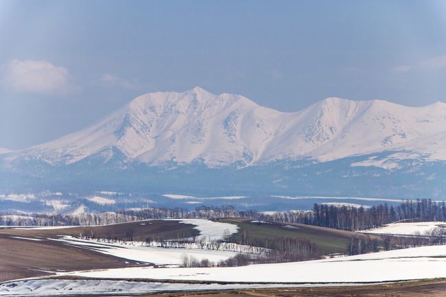 春の目覚めの美瑛・旭川