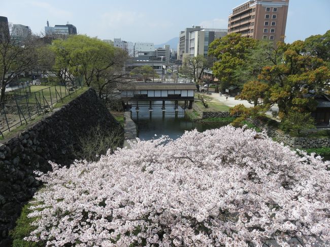 先週、青春切符で岡山県の津山市と鳥取県の鳥取市、米子市をまわってきたが、まだ２枚残っている。そこで、今日は天気もいいし、まだ桜が満開だし、久しぶりに日がえりで別府の温泉に家内と行こうということになった。その前に大分駅周辺が立派になっているし、食べたいラーメンを見つけたので、まずは、大分駅まで移動。大友宗麟像に挨拶し、「らーめん　牛ごろ」という評判の店でランチ。それから大分城址を久しぶりに訪問。ビルを取り除いたと聞いたからだ。ただ、いろいろ工事中だったが。。  <br /><br />それから別府に戻り、竹瓦温泉に行く。なんと、４月１日前後の５日間は、もともと１００円の入湯料金が、さらにタダになるという温泉祭の最中だった。ロッカー代１００円だけで温泉につかる。大満足！もし覚えていたら、来年も４月１日前後は別府にくるしかないだろう。桜はあちこちで満開か少し散り始めくらいで綺麗だった。<br /><br />小倉駅で下車して、５０年前から知っている天ぷらの店に１０年ぶりくらいに入店。その勢いで、小倉城にも行く。花見客がたくさんいた。ここも久しぶりに歩く。