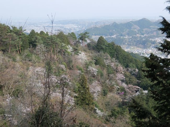 春の御嶽山・日の出山登山