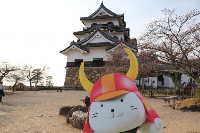 高校生の息子とオヤジのふたり旅。新名神を通って、クルマでぶらりと関西を旅してきました。