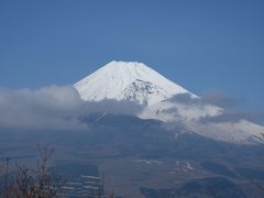 愛鷹山　黒岳～越前岳～呼子岳周回