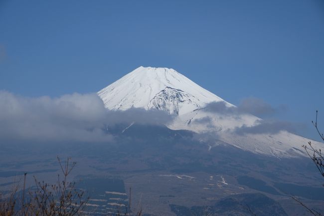 三月に入り一気に春めいてきましたが、先週の登山は雪山状態でした！<br />今週は快晴と気温上昇で一気に春登山となりました。<br />今回は富士山を近くで見たいと言う事で愛鷹山へトリオ登山してきました！<br />コースは須山愛鷹山登山口から黒岳～越前岳までは良い道で問題ないですが、<br />そこから呼子岳まではやせ尾根で下山道も分かりにくく、かなりのザレ場でした。<br />距離は10Km強でやはり道が悪いので時間はかかる印象でした。<br />眺望の方は越前岳の山頂からは駿河湾、富士山が見えます！<br />しかし、春霞みや樹林帯が多く展望が望めなかったのは残念でした。