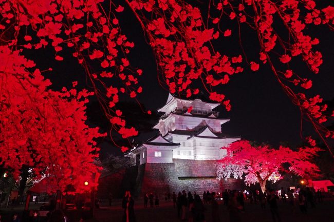 桜に似合う景色と言って何を思い浮かべますか？<br />私はやっぱり桜と言えば城！五重塔も捨てがたいところですけどね～<br /><br />と、いうわけで一度は訪れたい桜の絶景『山北の桜並木』を楽しんだ<br />後は小田原城へ行ってみることにしました。<br />今年は小田原開府500年にあたり小田原城址公園では記念イベントが<br />多く行われます。大規模な桜のライトアップも今年が初めてとの事。<br /><br />山北の感動の後なのであまり期待していなかったのですがいやいや<br />スゴい…テンション上がりまくりの１日になりました～♪<br /><br /><br />『光に染まる夜桜～小田原城さくらのライトアップ』<br />光に染まる夜桜　　3月23日（金）～ 4月15日（日）18:00～22:00<br />天守閣の開館延長　3月24日（土）～ 4月 8日（日）17:00～19:00<br />■小田原城公式HP<br />https://odawaracastle.com/<br />■小田原城さくらまつり2018<br />http://www.odawara-kankou.com/sakura/<br /><br /><br /><br /><br />