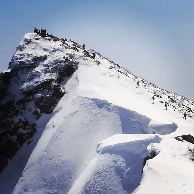 春の雪あそびと称して、ネコ耳岳へとトレッキングに行きました。<br /><br />ネコ耳岳は新潟県と群馬県の県境に位置する山で、その山頂部分の稜線部分が二つの耳を持つ猫の頭の様な形をしています。<br />可愛らしい名前のネコ耳岳ですが、ネコ耳岳の呼び方は愛称で、正式名称は谷川岳。<br />ネコ耳の突起はトマの耳、オキの耳と呼ばれる双耳峰です。<br /><br />谷川岳は四季を通じてトレッキングを楽しめる山で、一般的には秋の紅葉の頃が有名ですが、今回はあえて雪山シーズンを選んでみました。<br /><br />雪が残る春山を選んだ理由は、ネコ耳の絶景を味わいたかったから。<br /><br />冬場の二つのネコ耳を繋ぐルートは、雪が描く稜線がナイフの刃の様に切り立つナイフリッジ状で、山の急斜面と風が作り出す尾根雪の形は非常に優雅で美しくそれでいて危うさを秘める諸刃の剣で、多くの雪山トレッカーを魅了しています。<br /><br />私もその光景に魅せられた一人で、雪が作り出すナイフリッジの上を歩き、刃の絶景を愉しんできました。<br /><br />