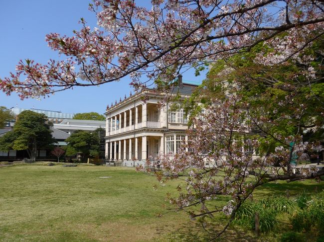 ２０１８年の東京・桜開花はとても早くて３月２４日と２５日の週末が見ごろでした<br />１週間遅れの本日は早朝より混み合う前に出来るだけ多くの名所を回る事を計画し自宅を６時半にスタートしました。<br />コースは<br />京急線の大鳥居駅をスタートして<br />浅草で隅田公園と浅草寺の花見<br />上野で上野恩賜公園と不忍池の花見　+予定外の旧岩崎邸庭園<br />御茶ノ水で神田川と湯島聖堂、ワテラス<br />最後に東京を代表する千鳥ヶ淵+開花宣言の靖国神社です<br />以上を６回ほどに分けて投稿が終了する頃にはすべての桜の木が葉桜になっていると思いますが<br />間に合うようでしたらお出かけして見て下さい。まだ間に合います。(4/1時点のコメントです)<br /><br />Part4は「旧岩崎邸庭園」の花見と言うよりは歴史探訪です。<br />邸宅内は撮影が出来ないので外観と庭園風景を撮影しました。<br />入館料は大人400円です。<br /><br />【館内コメントです】<br />撮影が禁止されているので写せませんでしたが<br />一階の入り口で靴を脱いでビニール袋に入り持参して回ります<br />邸内は順路板があって一階の広い部屋に10分間の岩崎邸の歴史案内を見ます<br />その後一階と二階をくまなく見て回りました<br />二階からは外のベランダにも出る事が出来ます<br />一番印象に残ったのは岩崎家の家系図　建物では廊下の16mある天井の一枚板です<br />豪邸であることは間違いないのですがどこかに庶民的な風情があり生活感ある建物でした<br /><br />