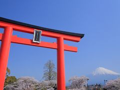 2018・03・31　静岡へ桜を見に行こう