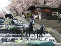 春のドライブ日和の埼玉こども動物自然公園（１）動物園でお花見しよう！＆無料開放日だったのに入り損ねたビアトリクス・ポター資料館