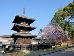 【国内297】2018.3奈良出張-平城宮跡歴史公園，tokijiku kitchen，興福寺国宝館，奈良ホテル