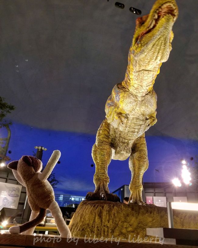 3日目は福井県に移動です。<br />何せいかに低予算で楽しむか、が旅のモットーなので( ̄▽ ̄)<br />時間はかかるが一番安いJRローカル線にて金沢から福井市へ。<br /><br />そして更にローカル電鉄乗り継いで<br />目指すは恐竜ワールド(^o^)♪<br /><br />ホントは永平寺とか一乗谷とかも行こうとしていましたが<br /><br />何せローカル線オンリーの旅<br />移動にかなり時間がかかったというのと<br />想像以上に恐竜博物館が楽しすぎ<br />予定以上に長居してしまったもので<br />観光は1ヵ所止まりとなりました(^^;)<br /><br />まぁいいや♪<br />他はまた行く楽しみとして取っておこう(*^^*)<br />ということで、個人的にはあっという間の最終回<br />第三弾は福井観光から帰路までをお伝えします。<br />良かったら最後までどうぞお付き合い下さい(^o^)/<br /><br />