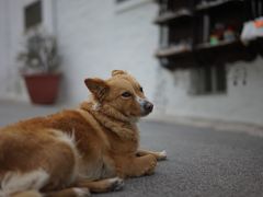 ナポリ→アマルフィ→ポジターノ→マテーラ→アルベロベッロ→ローマ 南イタリア周遊の旅 その4