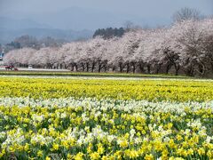 中之条の旅行記