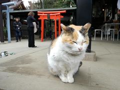 18 仕事運のパワースポット愛宕神社 東京駅周辺さんぽ 東京の旅行記 ブログ By たーさん フォートラベル 18 仕事運のパワースポット愛宕神社 東京駅周辺さんぽ 東京の旅行記 ブログ By たーさん フォートラベル