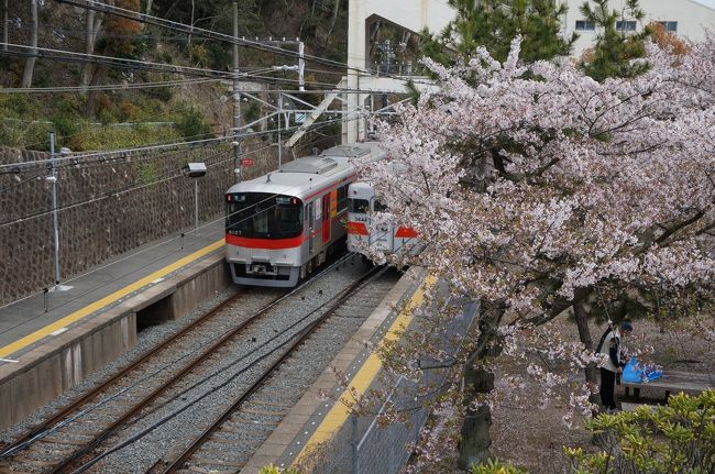 桜が舞い散る春の西神戸を一人で散策してきました。<br />神戸市民の地元住民目線での旅行記です。