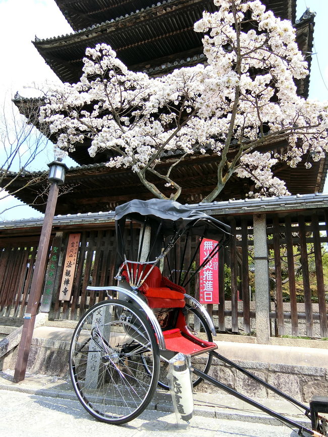 4月3日に、京都観光へ出かけました。<br />久しぶりの京都観光と、初めての花魁体験をやってきました。