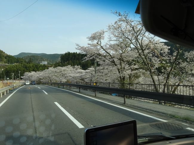 　サクラトンネル、桜通りを後にして、川根の道の駅に向かいます。<br />　あちこちに桜が咲いています。<br />　その桜を見ながら川沿いの６３号線を北上すると、間もなく道の駅が現れました。