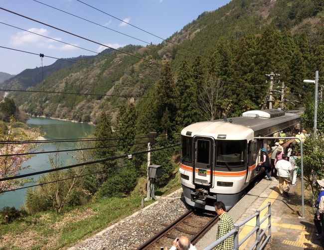 飯田線 秘境駅巡り 小和田駅出発以後の後半の様子<br />二つ目の秘境駅「中井侍」から 秘境巡り後の下車駅「天竜峡」まで<br /><br />例年、年度末明けの4月上旬に リフレッシュ気分で どこかへ出掛ける。<br />昨年は 高知に 一昨年は 鹿児島に飛んだが、<br />今年は 4月最初の水曜日という絶好の日に<br />設定された この秘境駅ツアーをチョイス。<br />今回のツアーを見つけなければ、<br />「秘境駅巡り ＝ 他人事」のままだっただろうな～。