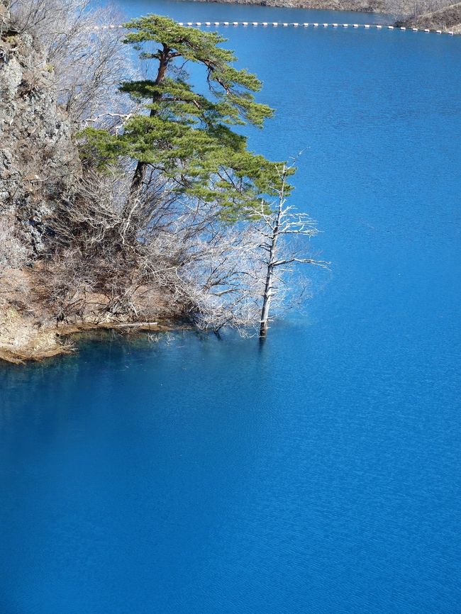 3月も半ば、気持ちもワクワクするようになり、今回は四万温泉でゆっくりとしたひと時を楽しむ旅に出かけました。関越道を気持ちよく走行する中、魚沼の山々の残雪が青空に映え、本当に春が来たことを実感しました。関越トンネルを過ぎると・・・そこは春本番・・・・。 <br /> 関越道から国道17号線で沼田市に入り右折し国道145号線に入り、徐々に高度を上げ高山村から中之条町に入り、国道353号線で四万方面に・・・。<br /> 最初に四万川ダムに向かいましたが、四万川ダムの美しさは素晴らしい。こんなに青い・・・・。四万温泉、沢渡温泉も素晴らしい温泉でした。