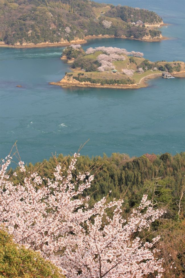 　桜の季節になりました。<br />2018年は冬が寒かった割には桜の開花が早く、瀬戸内エリアでも例年より1週間ほど早く開花を迎えてます。<br />例年この時期は花見を兼ねて桜の名所めぐりに出掛けます。<br />今年は、香川県三豊市の紫雲出山、マイントピア別子、瀬戸内の無人島能島を1泊2日でまわることに。<br /><br />二日目は、松山自動車を一路西進し新居浜を目指す。<br />まずは日本の近代化を支え住友財閥の礎となった別子銅山へ。<br />ここは近年歴史的遺産として見直され、テーマパークマイントピア別子を中心に観光化が進められている。<br />特に最近は鉱山跡が日本のマチュピチュとして話題に！<br /><br />そしてその後は、瀬戸内しまなみ海道の無人島能島へ。<br />この島は、かつて村上水軍の一派である能島村上氏の居城能島城が築かれた島。<br />現在も石垣と平坦な島の形が、その名残として残されている。<br />いま、この無人島には春になると桜の花が咲き乱れ、瀬戸内の桜の名所として知られるようになった。<br />桜の時期だけこの無人島の上陸できるとの情報を得たためここに向かうことに！