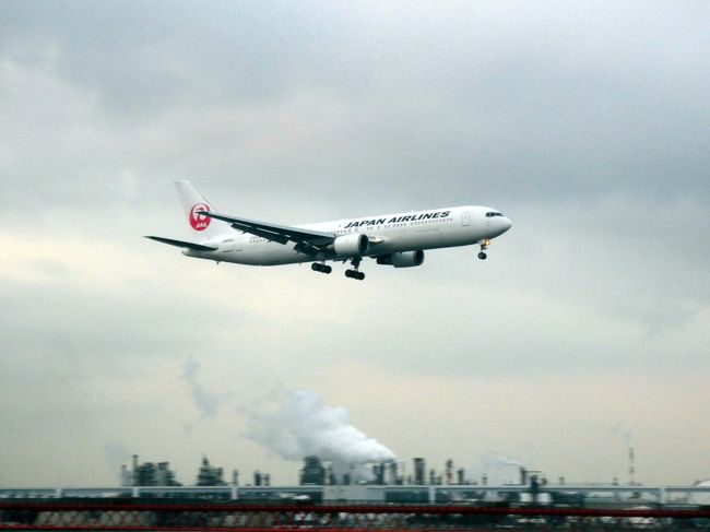 始発の京急空港線に乗って早朝のＪＧＣカウンターでチェックインして、カレーうどん専門店 ｃｕｕｄ で朝食を食べると、程なく始発の沖縄便の搭乗時間になりました。<br /><br />そこで、サクララウンジに寄ることもなく、この日お世話になるボーイング７７７－２００（ＪＡ８９８４）に乗り込みます。<br />