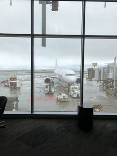 サンフランシスコ&アリゾナ 2018 旅行記３ アメリカン航空 サンフランシスコーフェニックス 搭乗記編