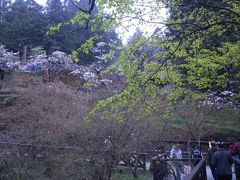 台湾縦断家族旅行♪台北・台中・阿里山・台南（3日目阿里山）