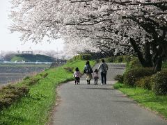 権現堂堤桜まつりは大混雑、工夫し桜堤を楽しみました　ー　1.権現堂公園(1号公園)から権現堂堤まで