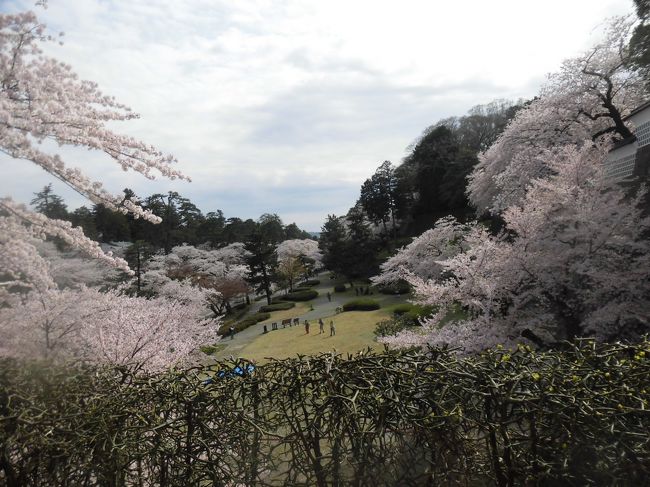 青春１８切符を使って友人たちと日帰り金沢の旅をしました<br />目的は「美味しいお寿司を食べに行こう♪」<br /><br />満開の桜を愛でることもできて<br />目にもお腹にも満足の旅でした<br /><br />ちなみに、乗車時間「片道５時間超え」・笑