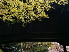 極寒の地「京都」にも春爛漫桜前線の訪れと共に「桜開花」の便りを聞きながら戦国時代「豊臣秀吉・明智光秀」ら武将が戦のため通ったと言われている「西国街道」周辺をサイクリング兼ねて訪れてみました