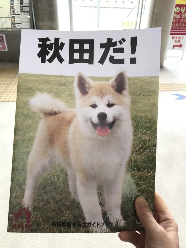 初東北!初秋田!<br /><br />温泉マニアの知人絶賛の乳頭温泉へ。<br /><br />初めて見る雪の壁に興奮しつつ、休暇村、鶴の湯を満喫♪<br /><br />●交通手段:東京~田沢湖(新幹線こまち)<br />●宿泊先:休暇村<br />●現地の移動手段:田沢湖~休暇村(路線バス) <br /> 休暇村~鶴の湯(ゆめぐり号)