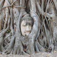 パチャラ スイーツ スクンビットに関する旅行記 ブログ フォートラベル Phachara Suites Sukhumvit バンコク パチャラ スイーツ スクンビットに関する旅行記 ブログ フォートラベル Phachara Suites Sukhumvit バンコク